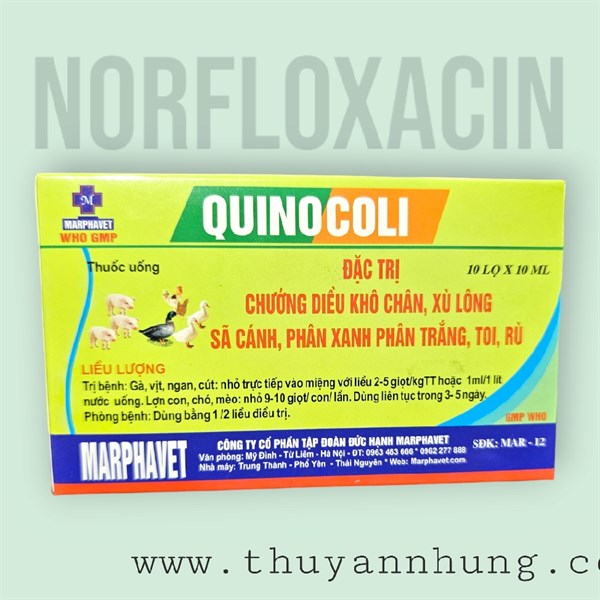MAR Quino Coli Oral (Chướng diều, khô chân) 10ml