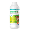 Việt Anh VIAROLYTE Oral 1 lit