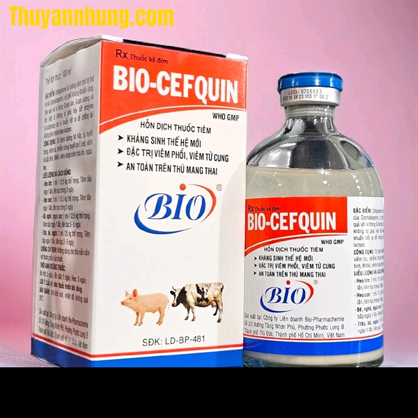 BIO CEFQUIN 100ml