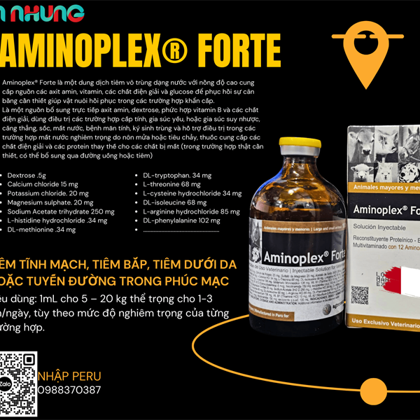 AMINOPLEX FORTE 100ml