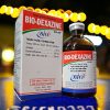 BIO DEXAZINE 100ml - Lọ 100ml