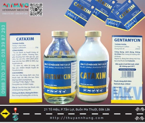 Cai lậy CATAXIM 250ml - Bộ