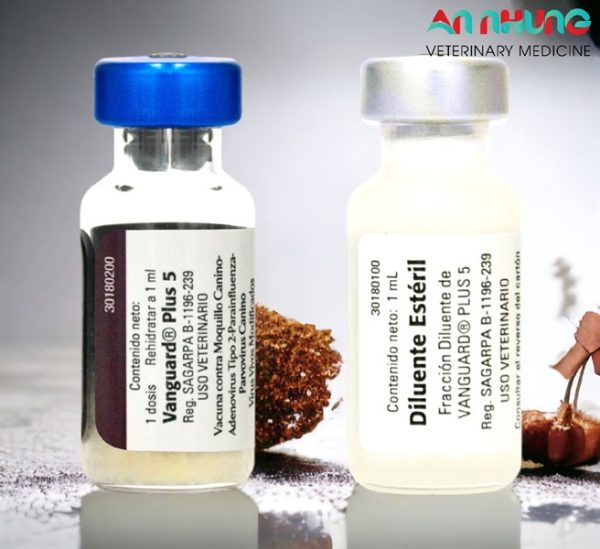 Vaccine Zoetis VanGuard Plus - 5 bệnh chó - Cặp 5Benh - Ảnh 3