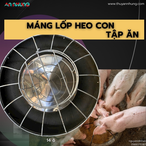Máng Cao Su (lốp xe) - cái