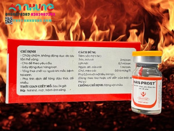 HAN PROST - Lọ 5ml - Ảnh 4