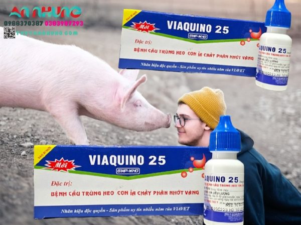 Viavet Quino 25 Oral 10ml - Hộp 10 lọ - Ảnh 4