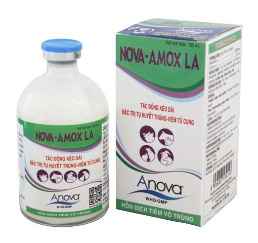 Anova AMOX LA - chai