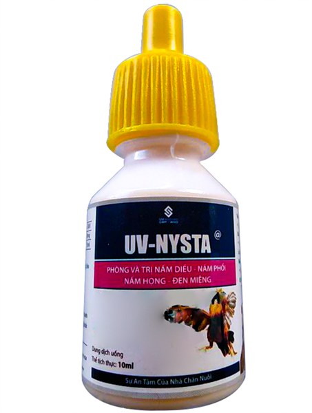 UV NYSTA 10ml - Hộp 10 lọ
