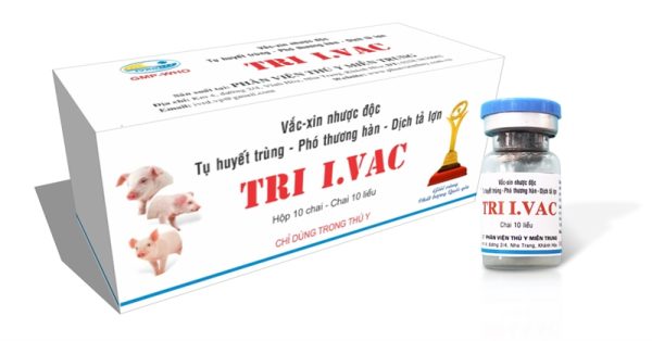 Vaccine Phân Viện - Tri I.Vac KÉP (3 in1) - lọ/ 3 bệnh - Ảnh 3