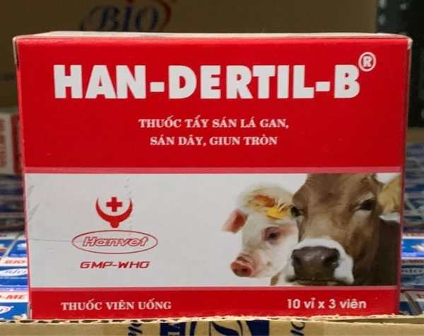 HANDEXRTIL B - 30 viên/hộp - Hộp