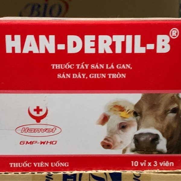 HANDEXRTIL B - 30 viên/hộp - Hộp