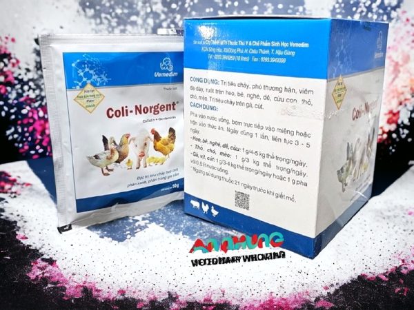 VMD Coli Norgent 50gr - Hộp 20 gói - Ảnh 4