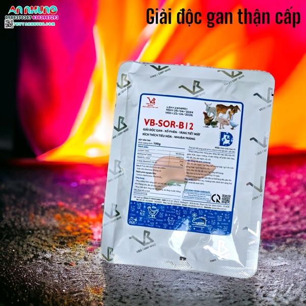VB Sor - b12 - 100gr - Gói 100gr