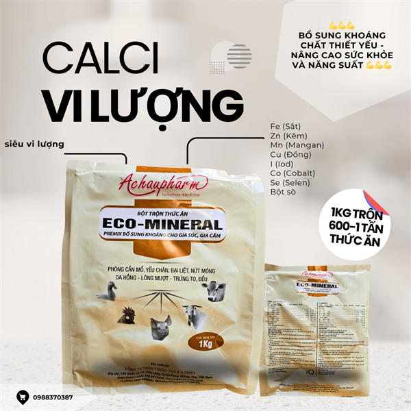 Á CHÂU PLASTIN = ECO Mineral (Calci vi lượng cao cấp) 1kg - Gói xá