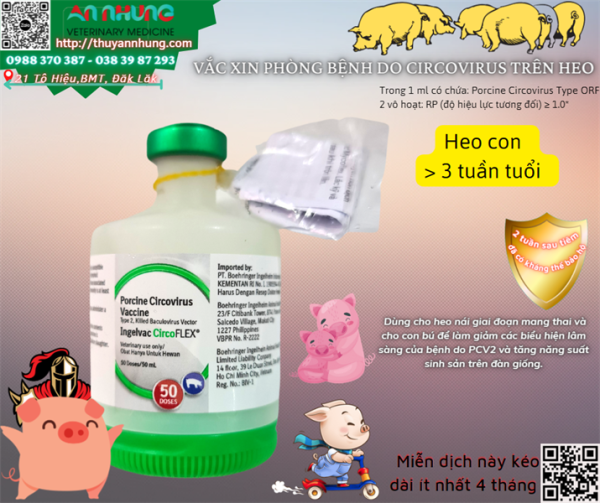 Vaccine Boehringer Circo - 10 liều - Lọ 10 liều
