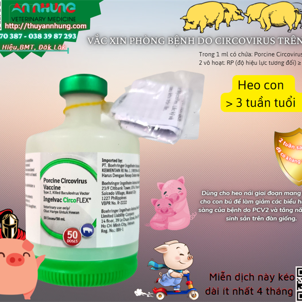Vaccine Boehringer Circo - 10 liều - Lọ 10 liều