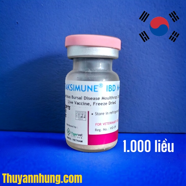 Vaccine Tigervet Vaksimune IBD M - GUMBORO - lọ 1.000 liều
