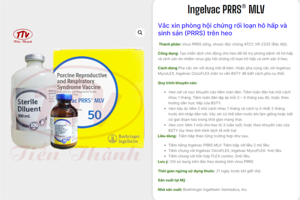 Vaccine Boehringer - PPRS - Tai Xanh - Lọ 10 liều - Ảnh 3