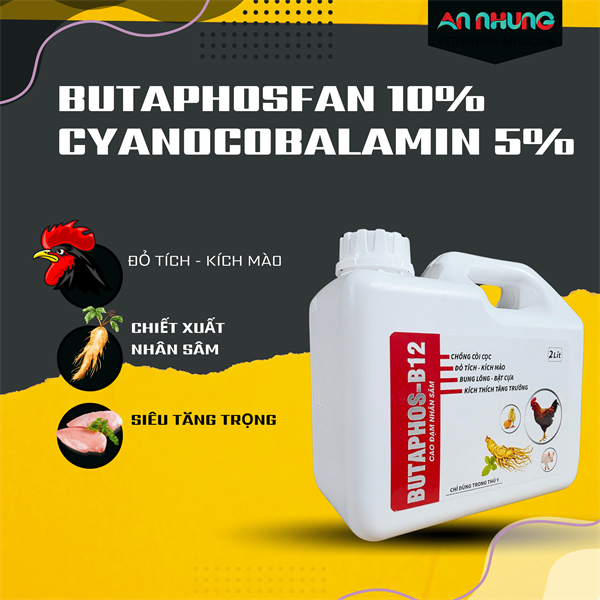 AGRI BUTAPHOS B12 can 2Lít - Nhân sâm / can to - Can 2 lít