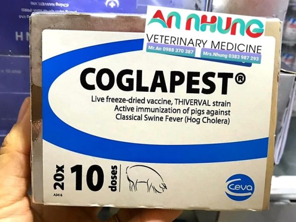 Vaccine Tân Tiến- COGLAPEST @ 50 liều - Lọ 50 liều