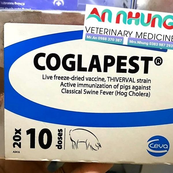 Vaccine Tân Tiến- COGLAPEST @ 50 liều - Lọ 50 liều