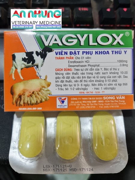 SV Vagylox - Hôp 6viên