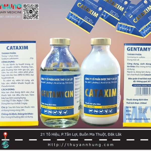 Cai lậy CATAXIM 250ml - Bộ
