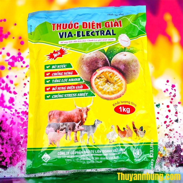 VIAVET THUỐC ĐIỆN GIẢI ELECTRAL - CHANH LEO - Gói 1kg