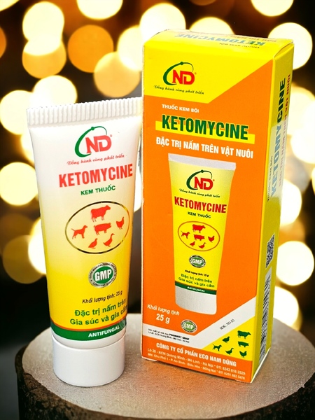 ND Ketomycin (Bôi Nấm) 25gr - Thùng 200 tuýp