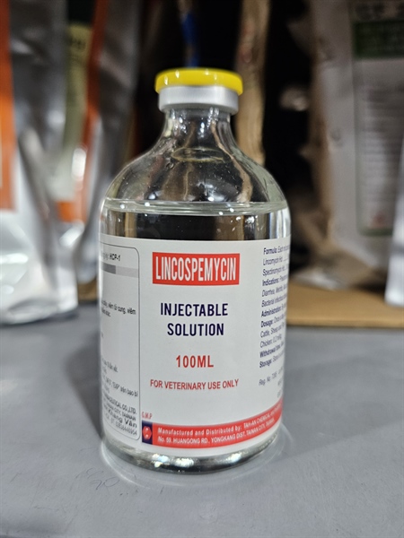 Taiwan LINCOSPEMYCIN 100ml - chai 100ml