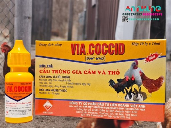 VIAVET Coccid Oral 10ml - Hộp 10 lọ
