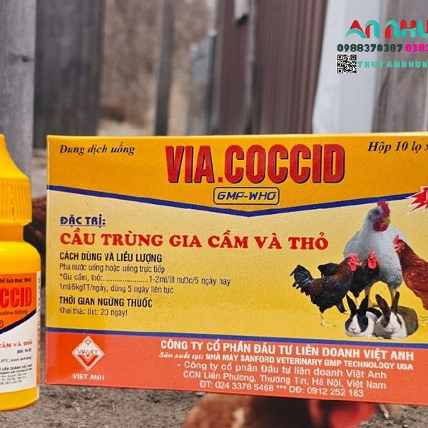 VIAVET Coccid Oral 10ml - Hộp 10 lọ