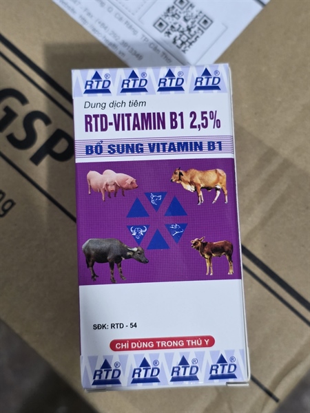 RTD Vitamin B1 100ml - Chai 100 ml