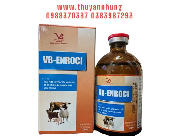 VB ENROCIN - Lọ 100ml - Ảnh 2