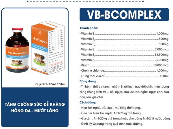 VB Bcomplex - Hộp 10 lọ - Ảnh 5