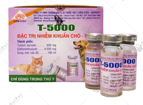 Hupha T 5000 10ml - hộp 20 lọ - Ảnh 2