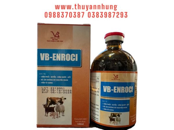 VB ENROCIN - Lọ 100ml - Ảnh 4