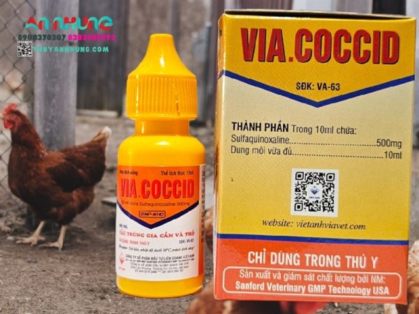 VIAVET Coccid Oral 10ml - Hộp 10 lọ - Ảnh 4