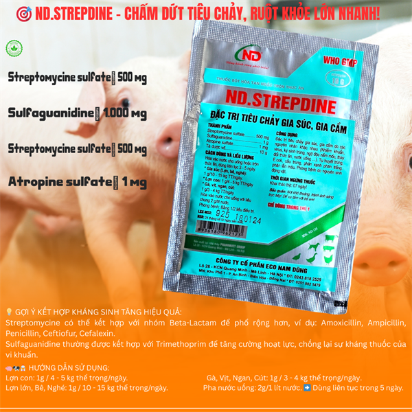 ND STREPDINE - Đặc trị tiêu chảy 100gr