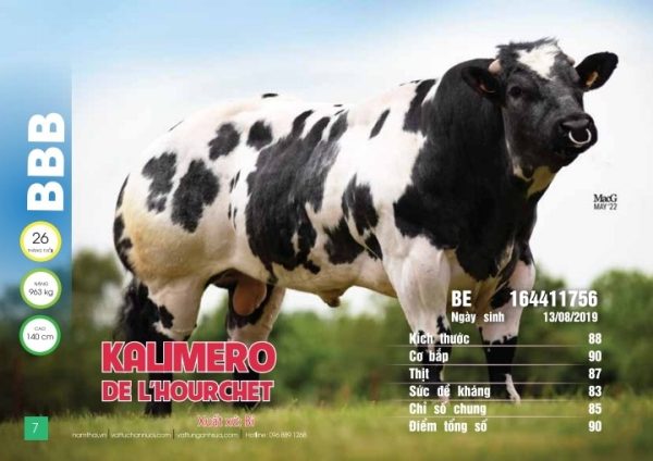 BBB KALIMERO - BE164411756 - 90 Points - Đỏ - Liều