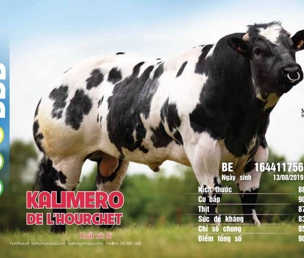 BBB KALIMERO - BE164411756 - 90 Points - Đỏ - Liều