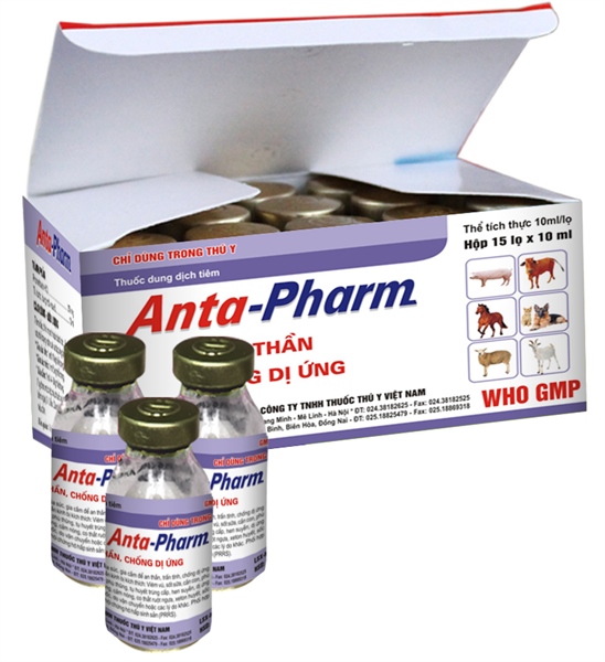 Drich Anta Pham 10ml - Hộp 15 lọ