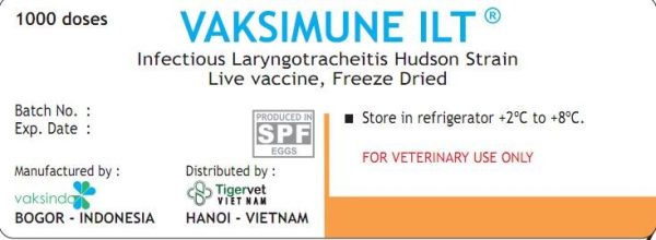 VACCINE TIGERVET VAKSIMUNE- ILT - Lọ 1.000 liều - Ảnh 2