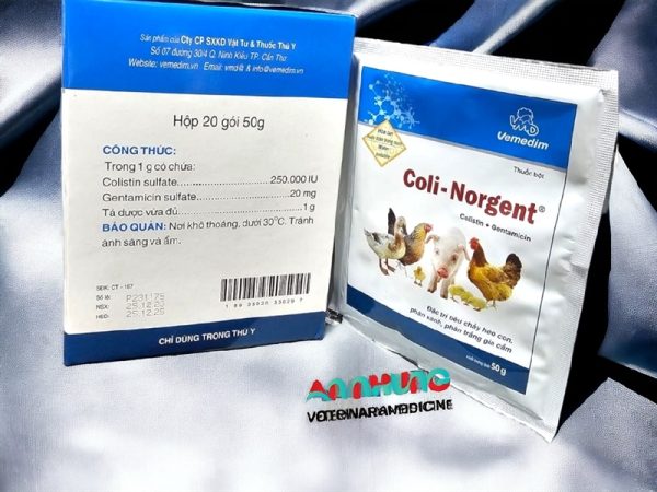 VMD Coli Norgent 50gr - Hộp 20 gói - Ảnh 3