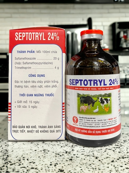 Minh Huy SEPTOTRYL 24% 100ml - Lọ 100ml