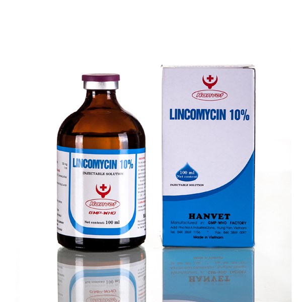 HANVET LINCOMYCIN 10% 100ml - chai