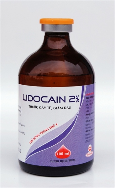 Hanvet Lidocain 2% (Gây tê) 100ml - Lọ