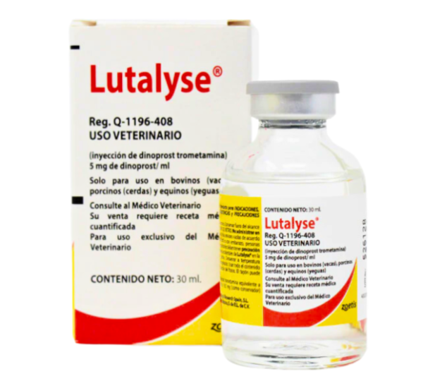 Zoetis Lutalyse 30ml - Hộp - Ảnh 3