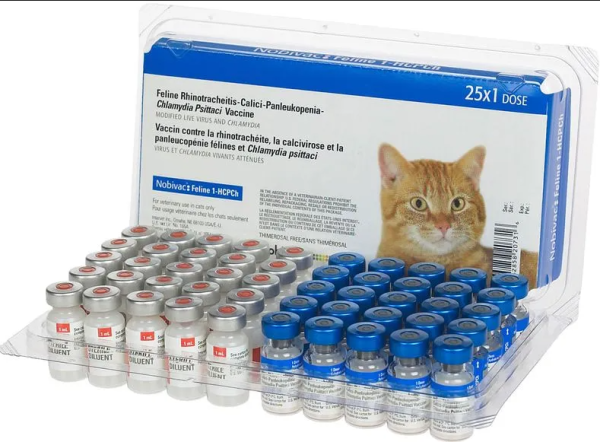 Vaccine Novibac - Mèo 4 bệnh - Liều