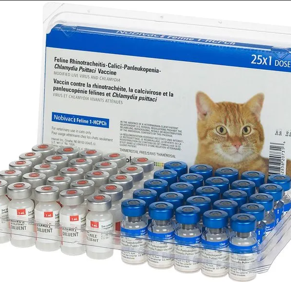 Vaccine Novibac - Mèo 4 bệnh - Liều